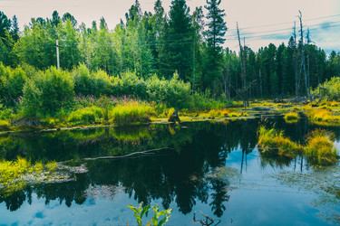 Similar image 21190307