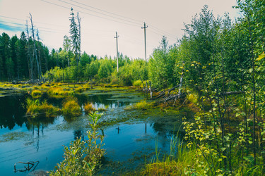 Similar image 21190309