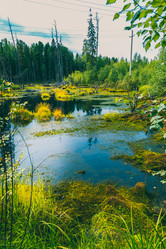 Similar image 21190310