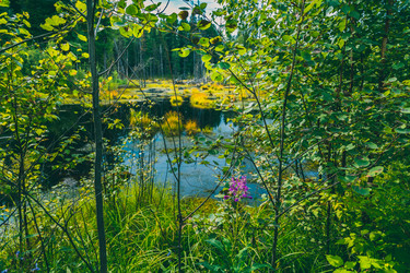 Similar image 21190313