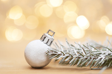 Similar image 21186961