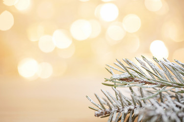 Similar image 21186962