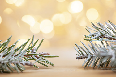 Similar image 21186963