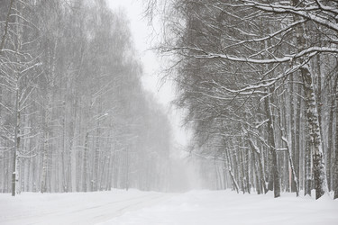 Similar image 21186970