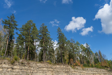 Similar image 21189668