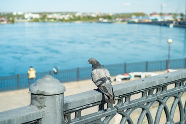 Similar image 21189679