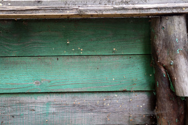 Similar image 21186620