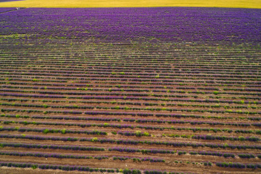 Similar image 21186601