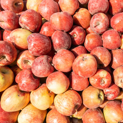 Similar image 21189740