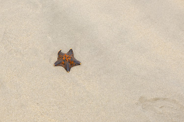 Similar image 21189746