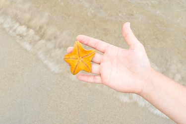 Similar image 21189747