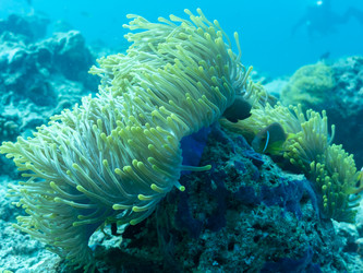 Similar image 21189748