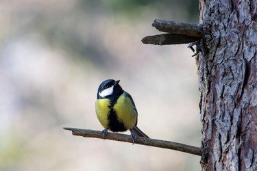 Similar image 21189749