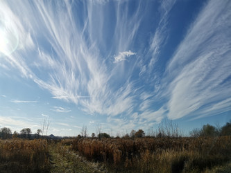 Similar image 21189751