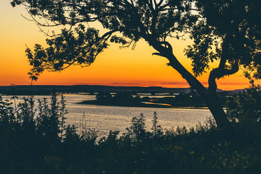 Similar image 21196988