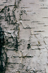 Similar image 21197009