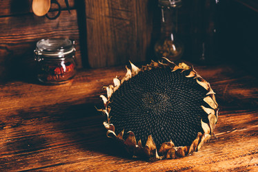 Similar image 21196829