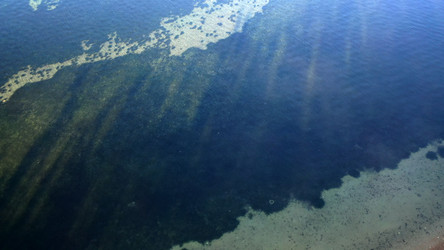 Similar image 21189768