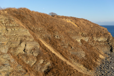 Similar image 21189771