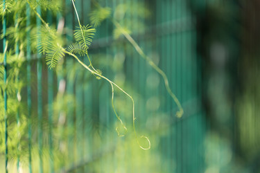 Similar image 21189777