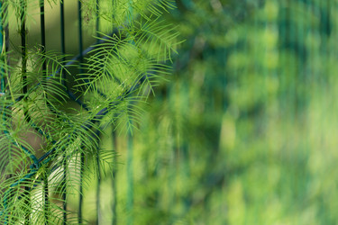 Similar image 21189778