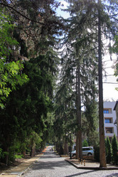 Similar image 21189791