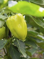 Similar image 21195188