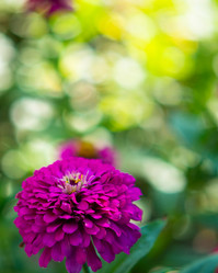 Similar image 21195190