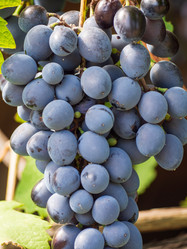 Similar image 21195199