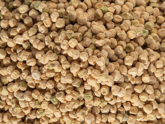 Similar image 21192317