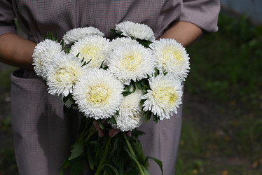 Similar image 21190079