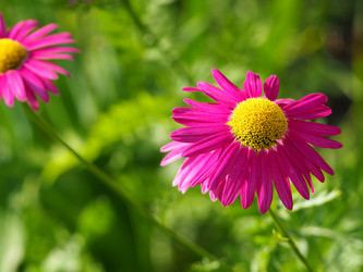 Similar image 21192348