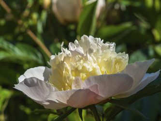 Similar image 21192349