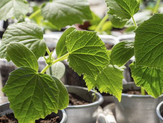 Similar image 21192352