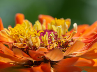 Similar image 21192354