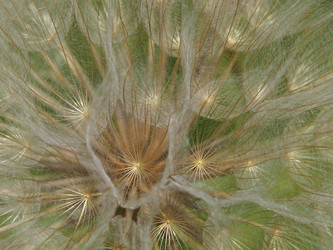 Similar image 21192357