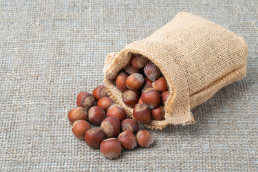 Similar image 21190949