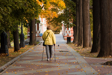 Similar image 21187254