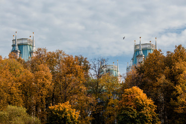 Similar image 21200987