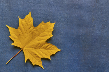 Similar image 21194664