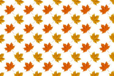 Similar image 21190688