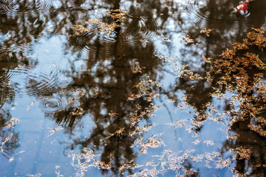 Similar image 21191913