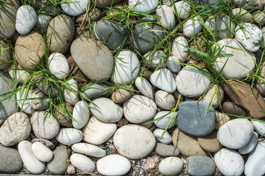 Similar image 21191928