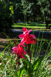 Similar image 21191954