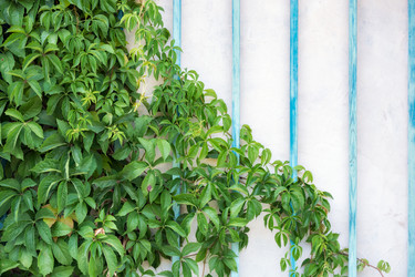 Similar image 21191956