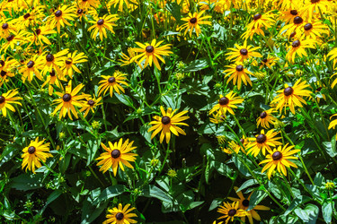 Similar image 21191993