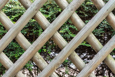 Similar image 21191995