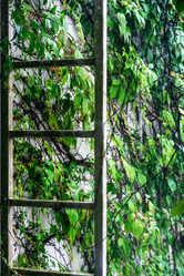 Similar image 21191996