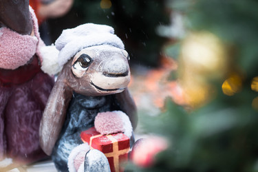 Similar image 21199582