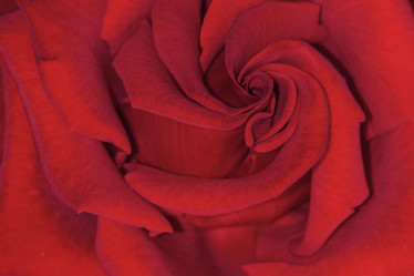 Similar image 21195016